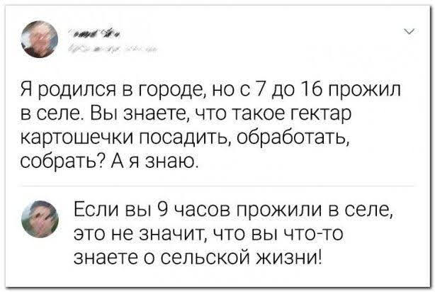 Всяческие картинки 10.01.2022