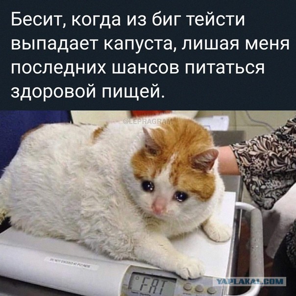 Картинки 04.02.22
