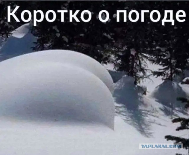 Так себе картинки 09.02.22