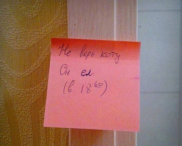 Так себе картинки 27.02.22