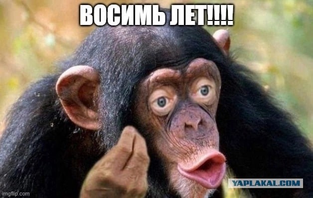 В освобожденной Станице Луганской воссоединяются семьи