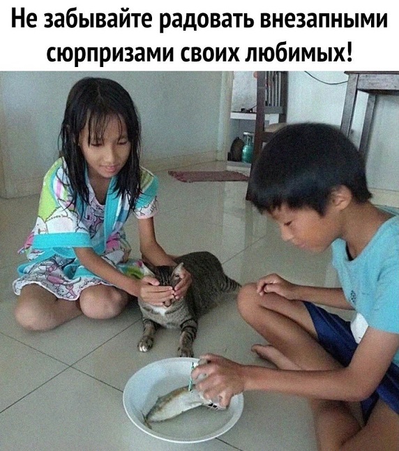 Весёлый полтишок 28.03.22