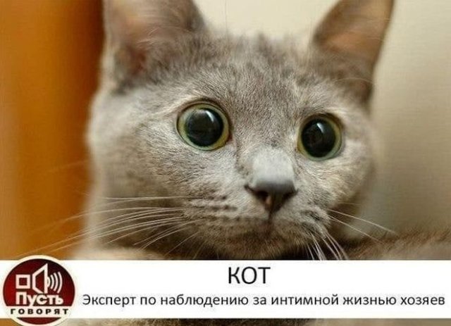 Картинки и мемы для настроения - 17