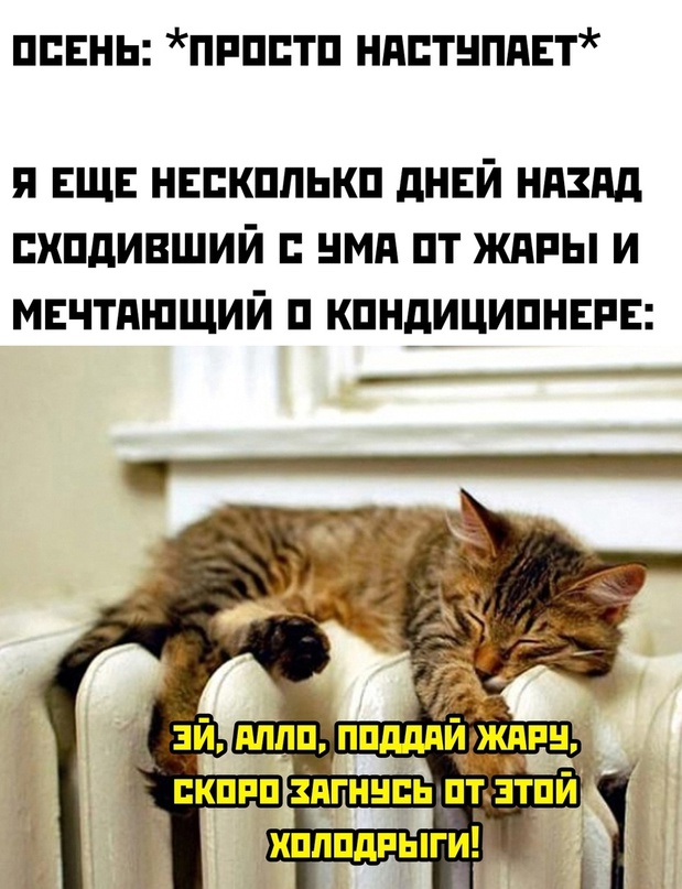 Картинки и мемы для настроения - 009