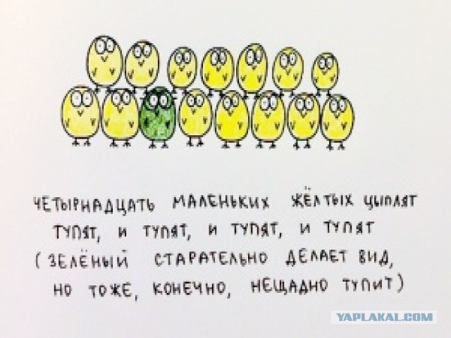 Бар который открыл барсук