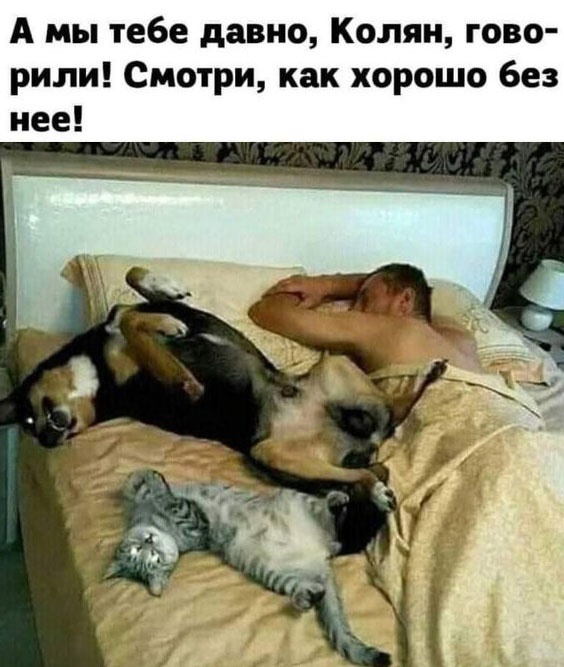 Так себе картинки 15.02.23