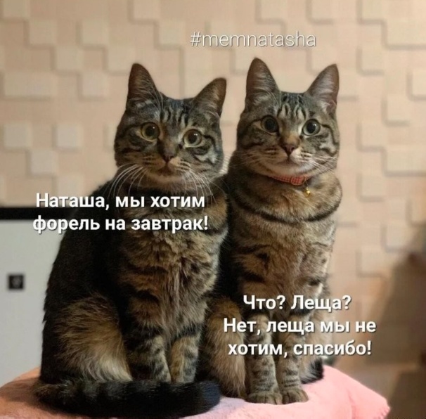 Одна пикча
