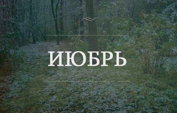 Так себе картинки 11.06.23