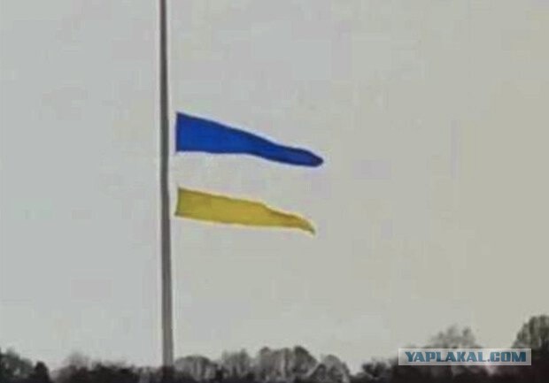 Снежный апокалипсис в Одесской области