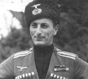 Кто воевал на стороне Сталина!