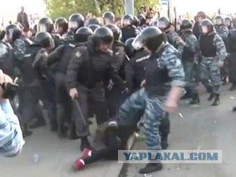 Большое Заречье. Волосовский район Ленинградской области. Деревня уничтоженная, сожженая вместе с жителями 30.10.43 года