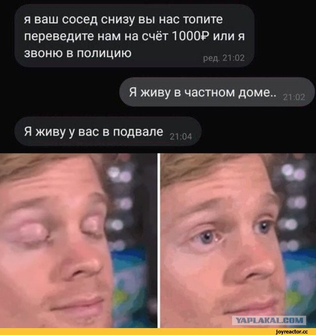 Такую лезгинку одобряете?