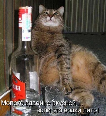 Молоко вдвойне вкусней