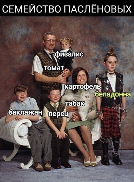 А кто это мы?