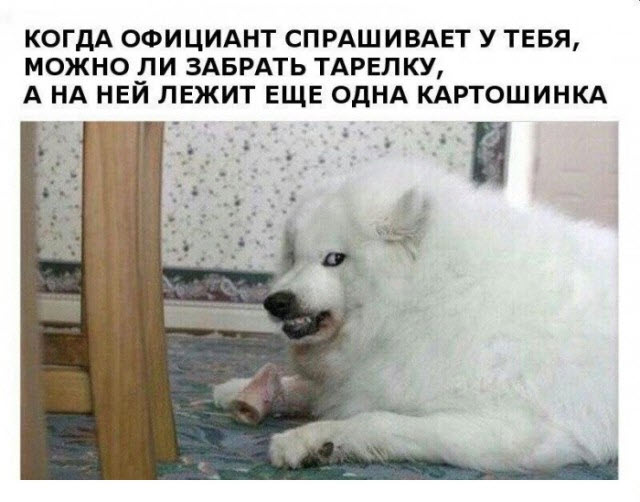 Отборные баяны 10-летней выдержки vol. 3