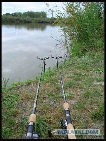 Оформление рабочего стола