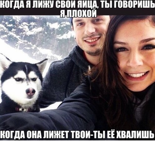 Завалялось тут случайно немного забавных картинок