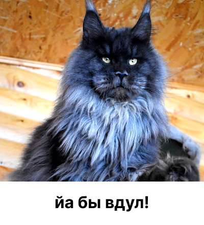 Когда вместо обещанной невесты прислали какого-то индейского вождя