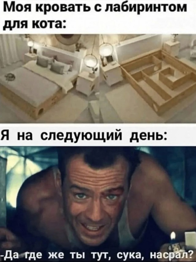 Так себе картинки 08.03.25