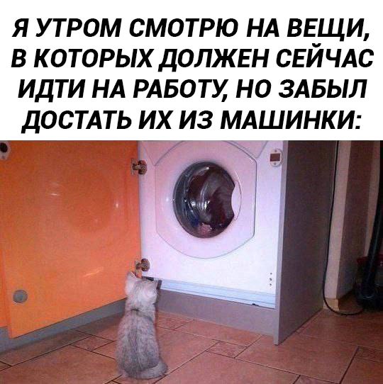Картинки для деградации 22 ( разной степени свежести)