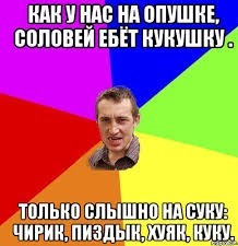 Кеша навёл суету