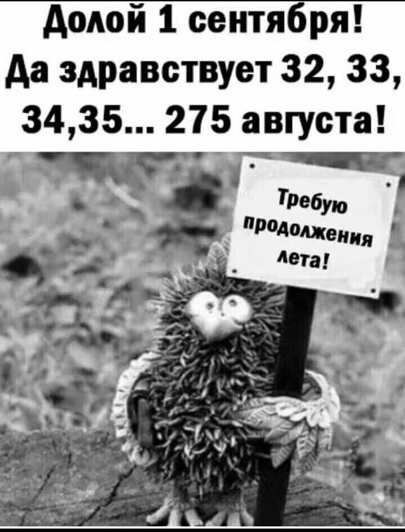 Первый звонок