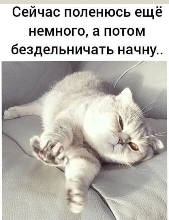 Картинки для деградации 41 (разной степени свежести)
