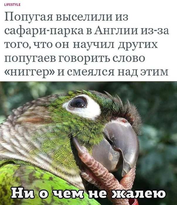 Картинки для деградации 46 (разной степени свежести)