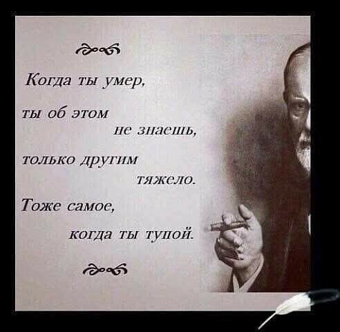 Картинки для деградации 49 (разной степени свежести)