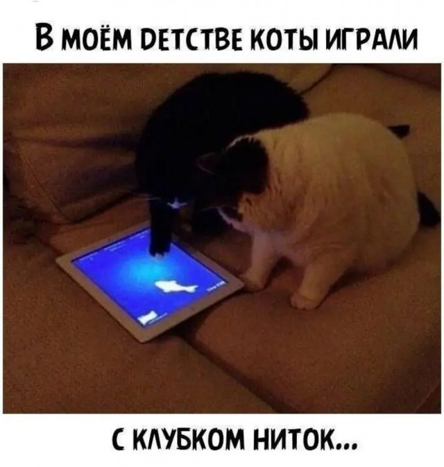Подборка картинок-баянов с котиками и про котиков. Выпуск 21