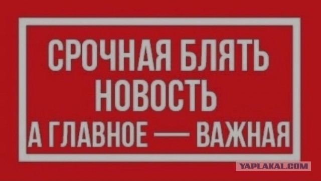 Английская порноактриса Лили Филлипс крестилась