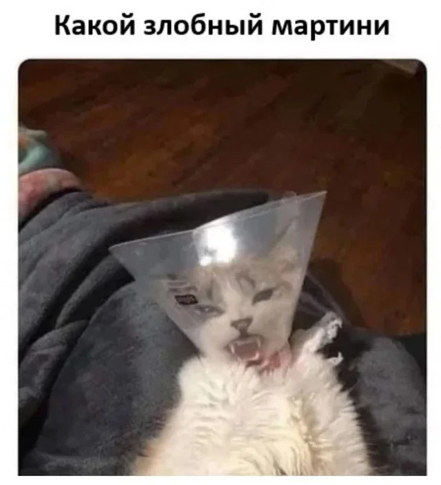 Вторника картинки