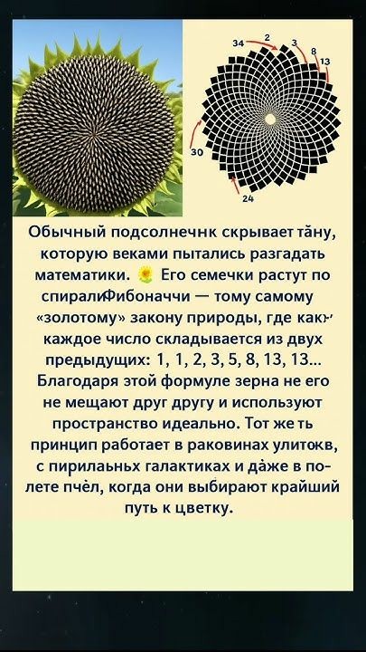 Тема дня