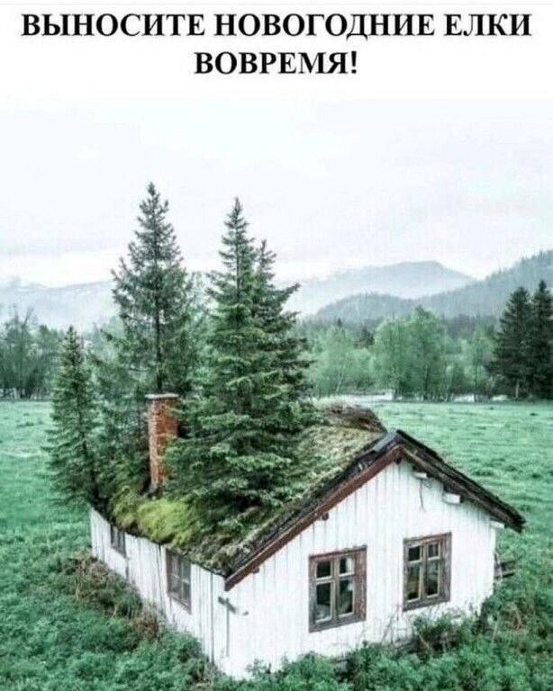 Картинки для деградации 190 (разной степени свежести)