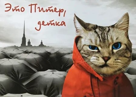 Что-то у некоторых совсем крышу рвет.