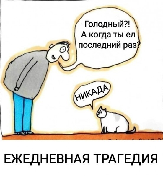 В ожидании манны небесной