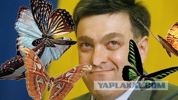 Украина и ЕС