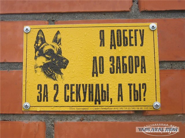 Картинки, объявления - 2