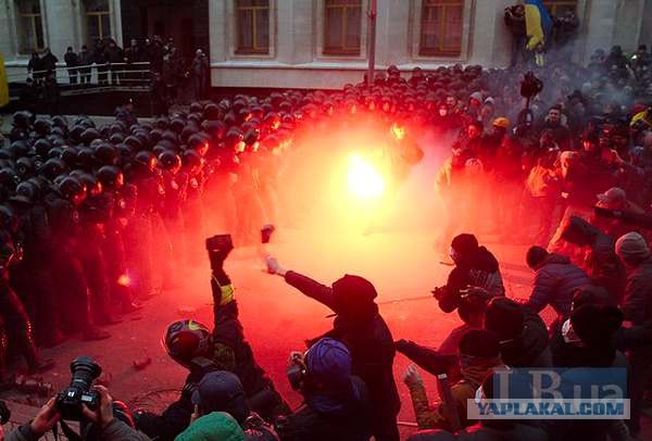 Беркут растрощил водителю автомобиль.