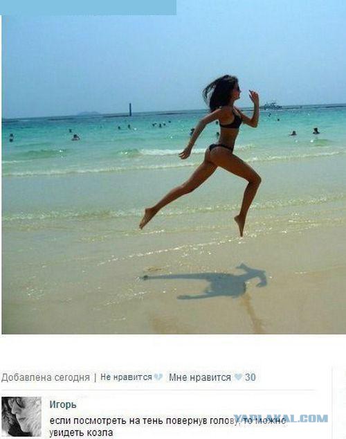 Веселые картинки? а так же комментарии)