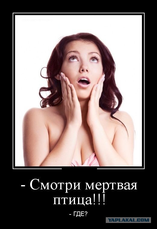 Демотиваторы.