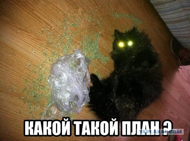 Хапанула очень много