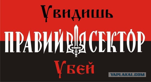 На Донбассе в рядах карателей погиб сотник