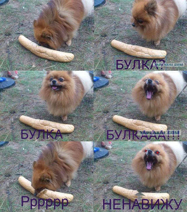 Булка