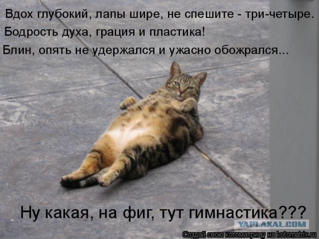 Чёрт, чёрт, чёрт!
