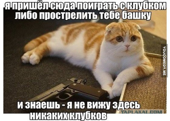 Немного позитива на пятницу