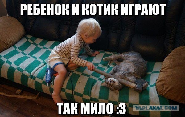 Cмешные баяны