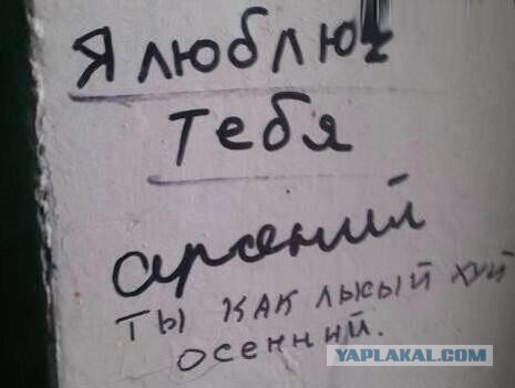 Всякая хренотень