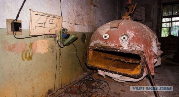 Упоротость вокруг нас