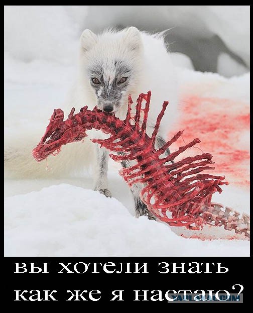 Порошенко заявил, что есть план остановки "войск Р